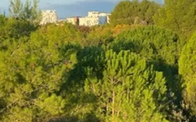 Montpellier (34000)