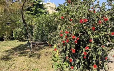 Cagnes-Sur-Mer (06800)