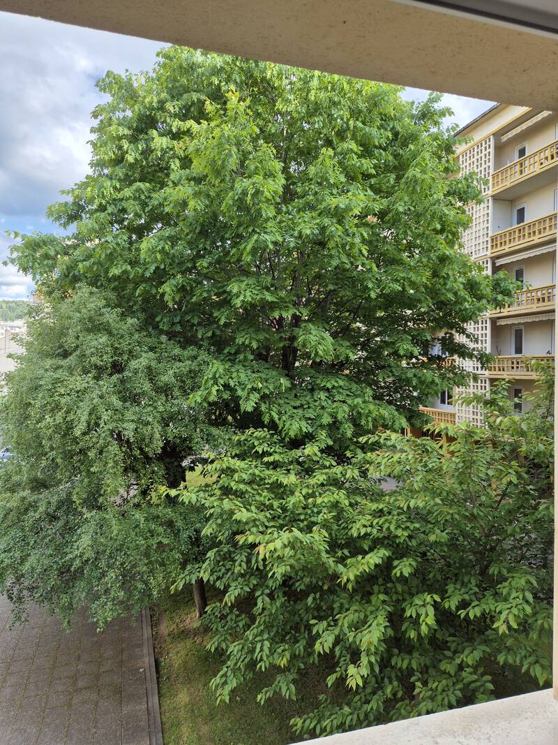 Saint-Étienne (42000)