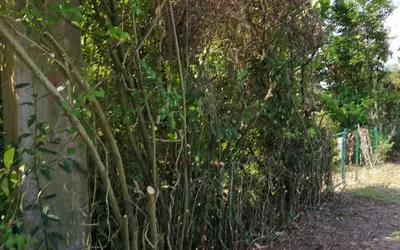 Beychac-Et-Caillau (33750)