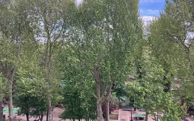 Neuilly-Sur-Seine (92200)