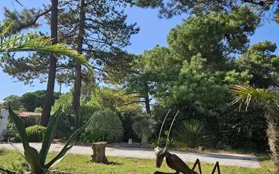 Le Grand-Village-Plage (17370)