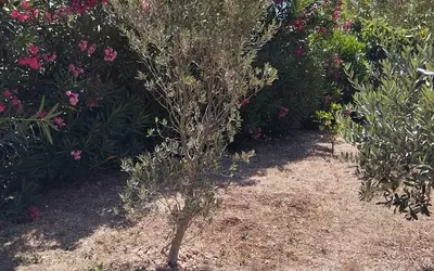 La Garde (83130)