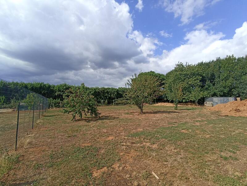 Le Champ-Saint-Père (85540)