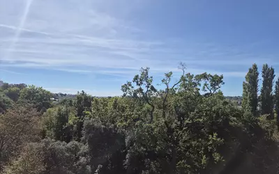 Nantes (44000)