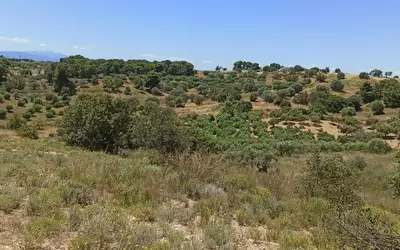 Grèce