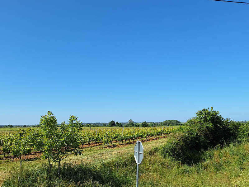 Thouarcé (49380)