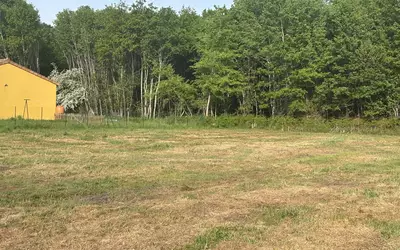 Terrain Vendays-Montalivet · 250 000 €