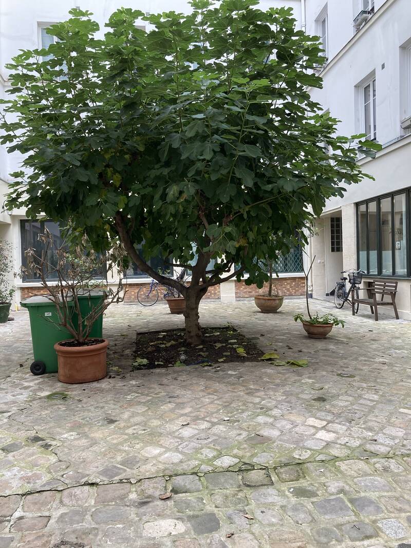 Paris 11E (75011)
