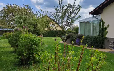 Sarreguemines (57200)