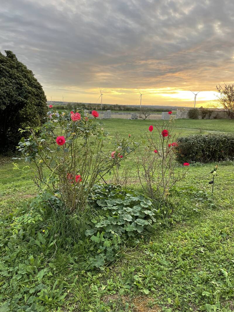 Beauvoir-Sur-Niort (79360)