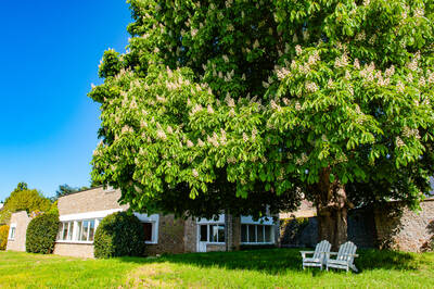 Vente maison 7 pièces Chambourcy (78240)