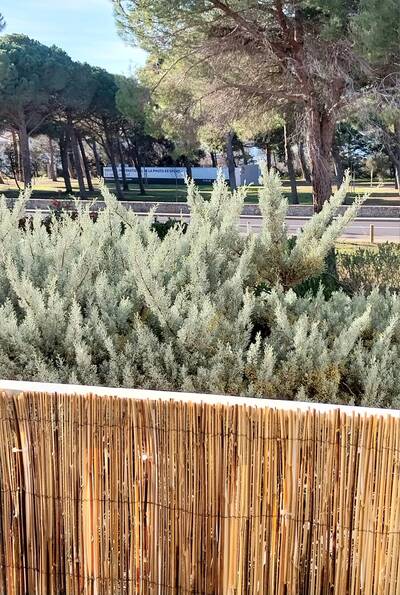 Vente appartement 2 pièces Gruissan (11430)