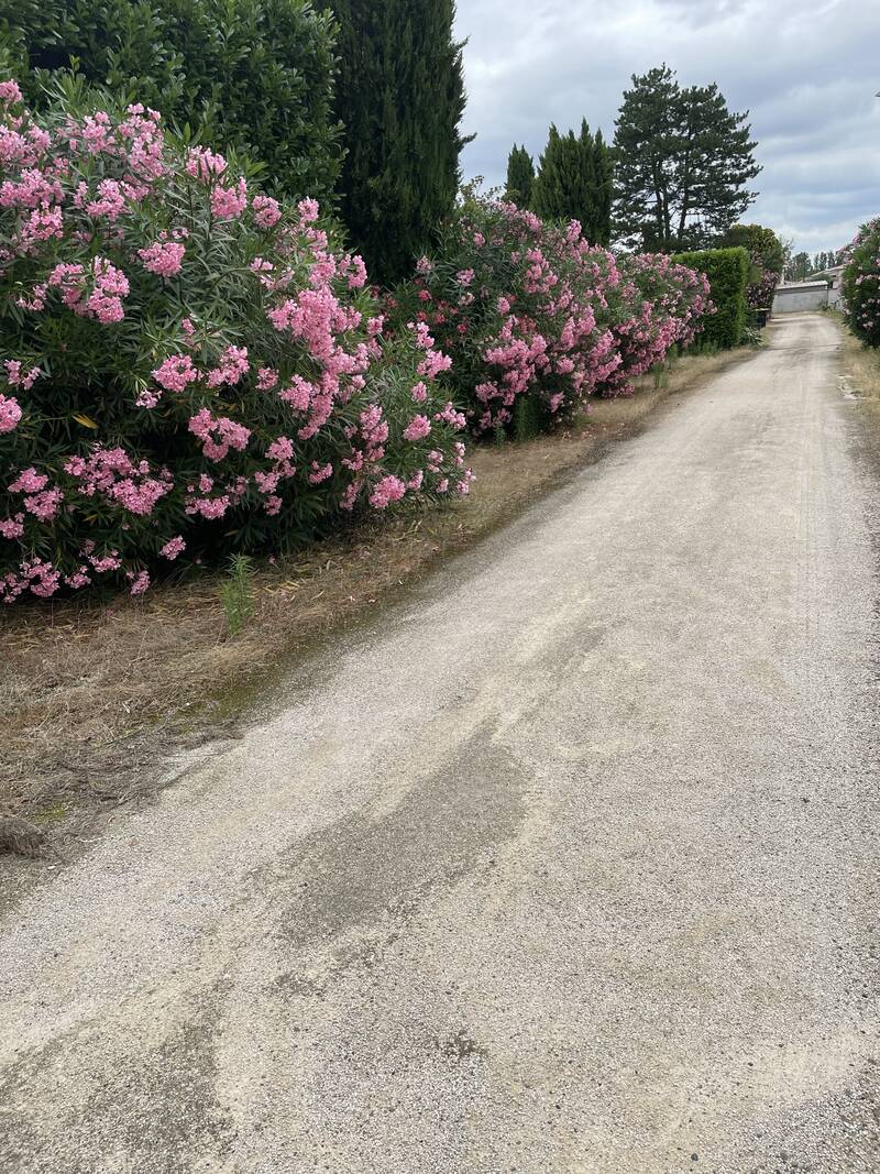 Fonbeauzard (31140)