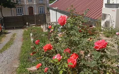 Vichy (03200)