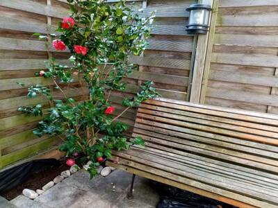 Vente appartement 3 pièces Deauville (14800)