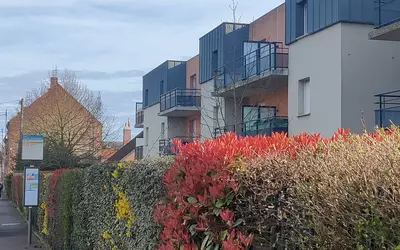 Douai (59500)