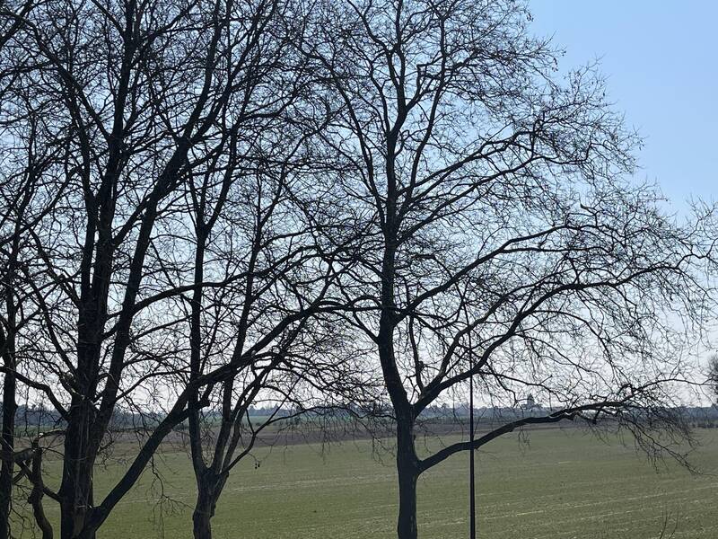 Gif-Sur-Yvette (91190)