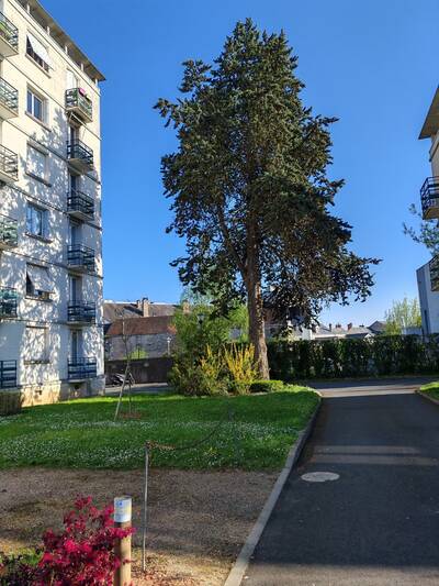 Vente appartement 3 pièces Tours (37)