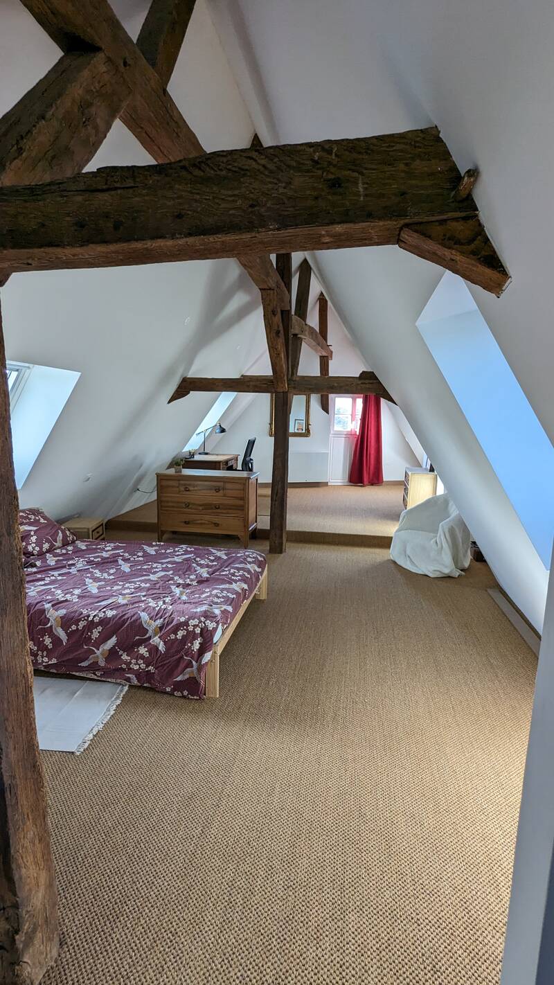 Amboise (37400)