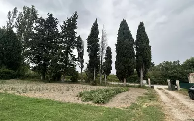 Barbentane (13570)