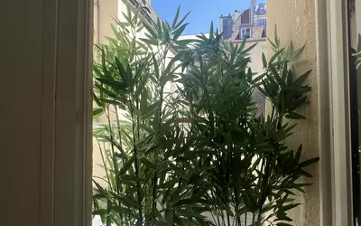 Paris 6E (75006)