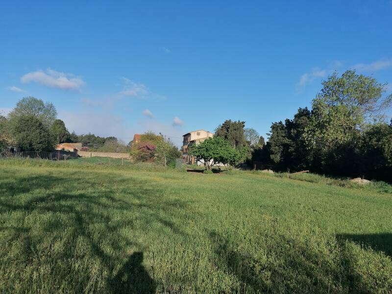 Rieux-Minervois (11160)