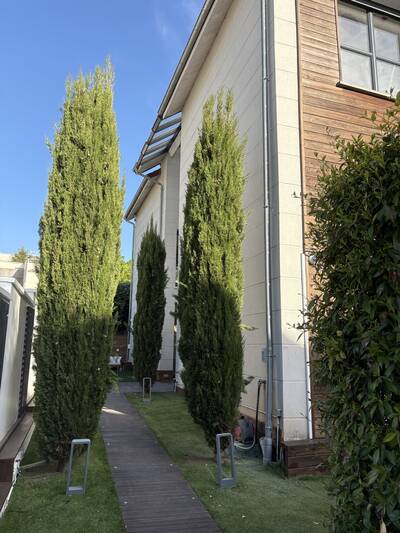 Vente maison 7 pièces Clamart (92140)