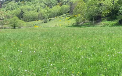 Lachapelle-Sous-Chanéac (07310)