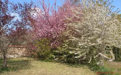 Meulan-En-Yvelines (78250)