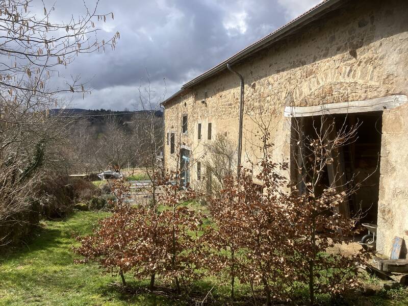 Saint-Amant-Roche-Savine (63890)