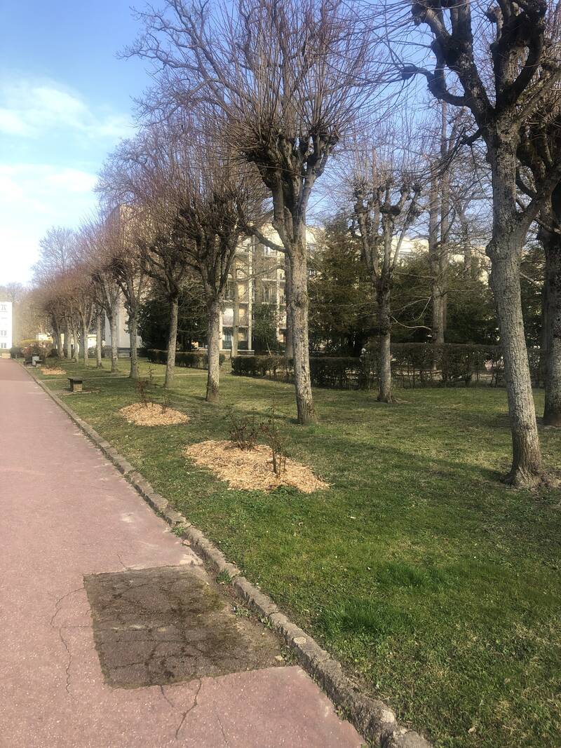 Ville-D'avray (92410)