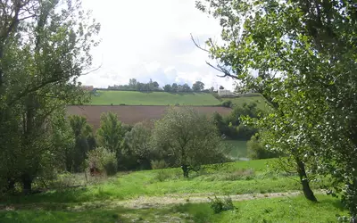 La Salvetat-Belmontet (82230)
