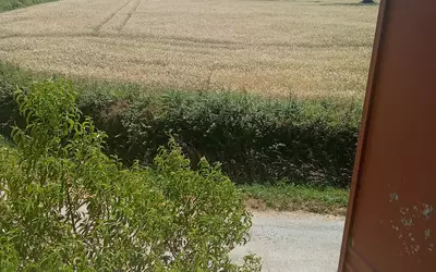 Saint-Sauvier (03370)