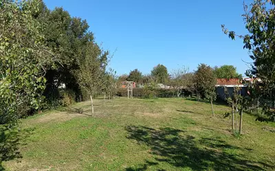 Avrillé (85440)