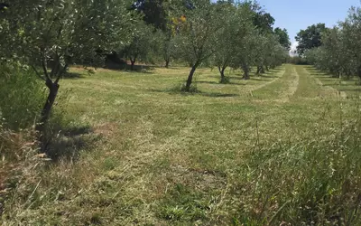 Neffiès (34320)