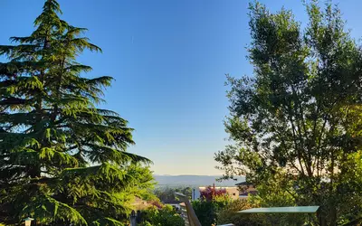 Reyrieux (01600)