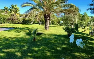 Grimaud Proche Saint-Tropez