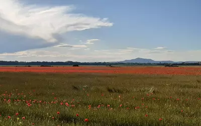 Lançon-Provence (13680)