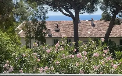 Toulon (83000)