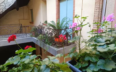 Montauban (82000)