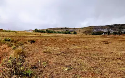 Madagascar
