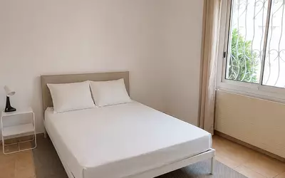 Alès (30100)