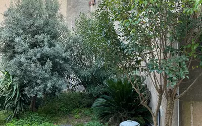 Frontignan (34110)
