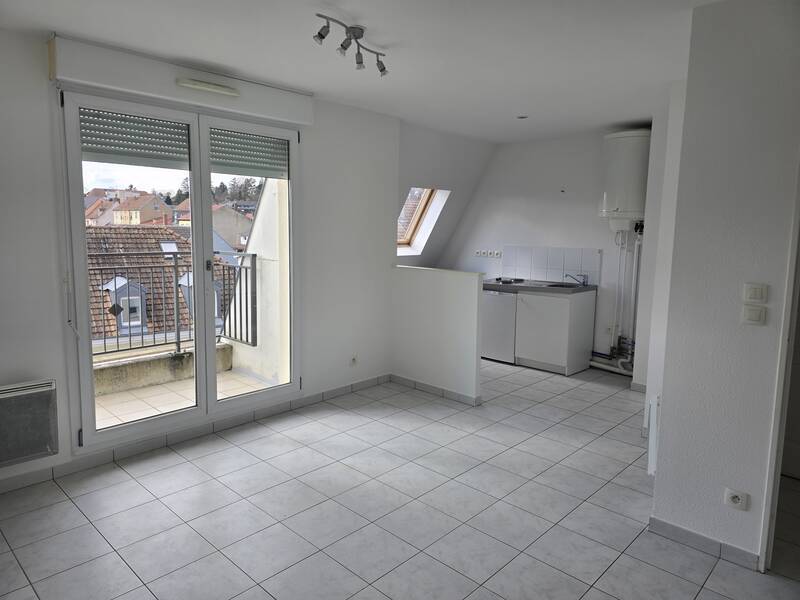 Mulhouse (68100)