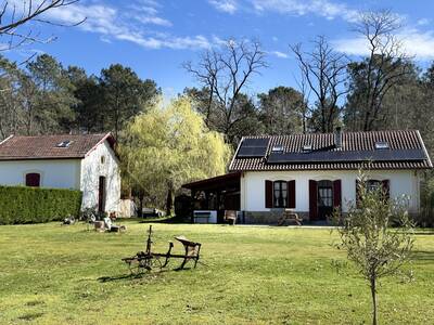 Vente maison 10 pièces Roquefort (40120)