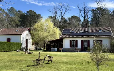 Roquefort (40120)