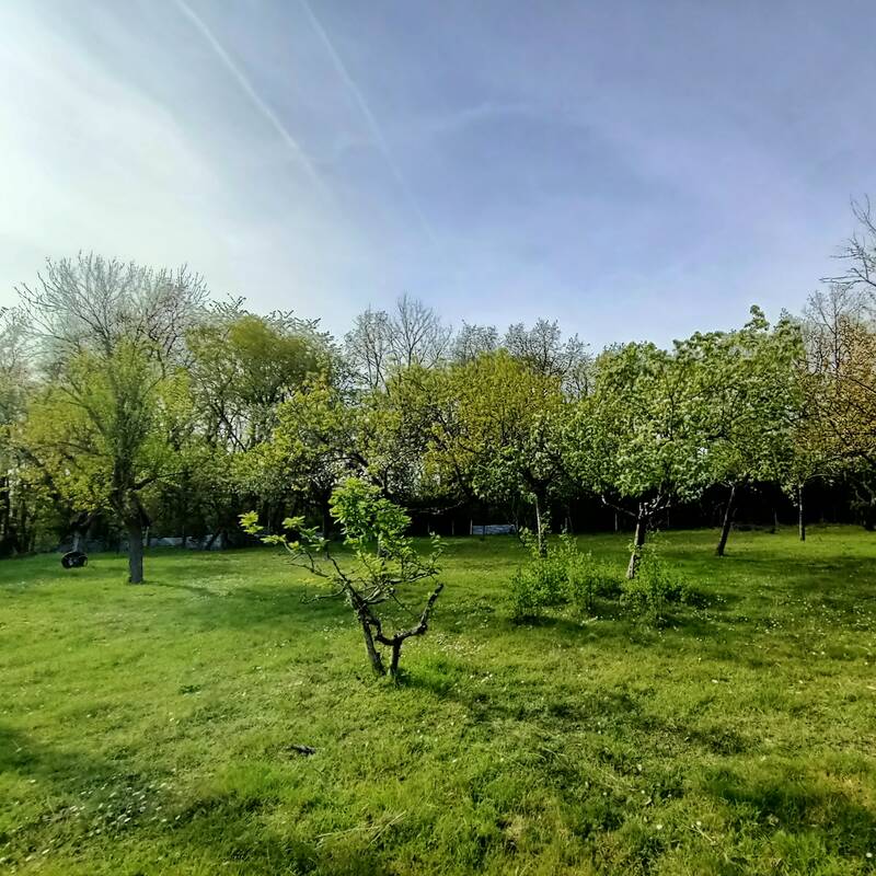 Souppes-Sur-Loing (77460)