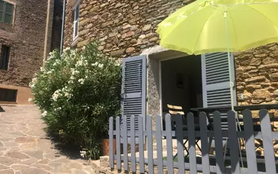 + Parcelle De 319 M²