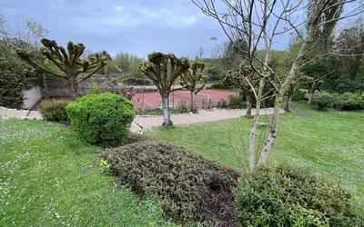 Paley (77710)